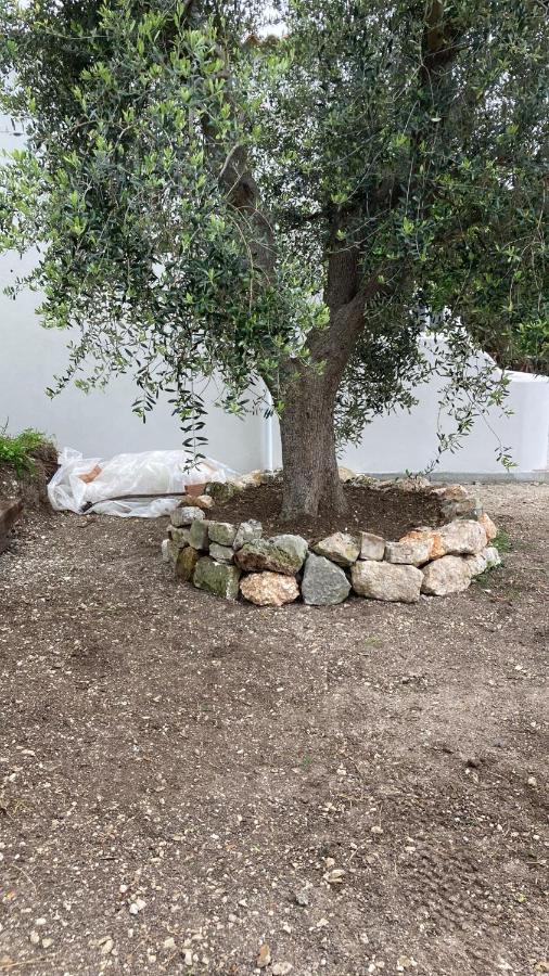 *Suite *Pozzo Dei Desideri Peschici Ngoại thất bức ảnh